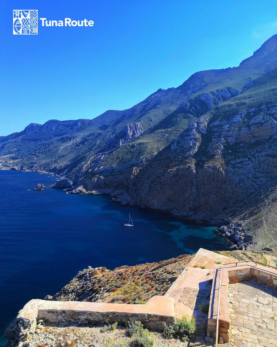 Tuna Route tweet media