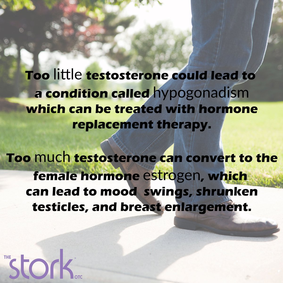 Another male fertility fact for men's health month. Balancing male hormones, especially testosterone, can help when trying to conceive. Learn more about male hormones on our blog here storkotc.com/blog/male-horm…

#menshealthmonth #menshealth  #testerone #malehormones