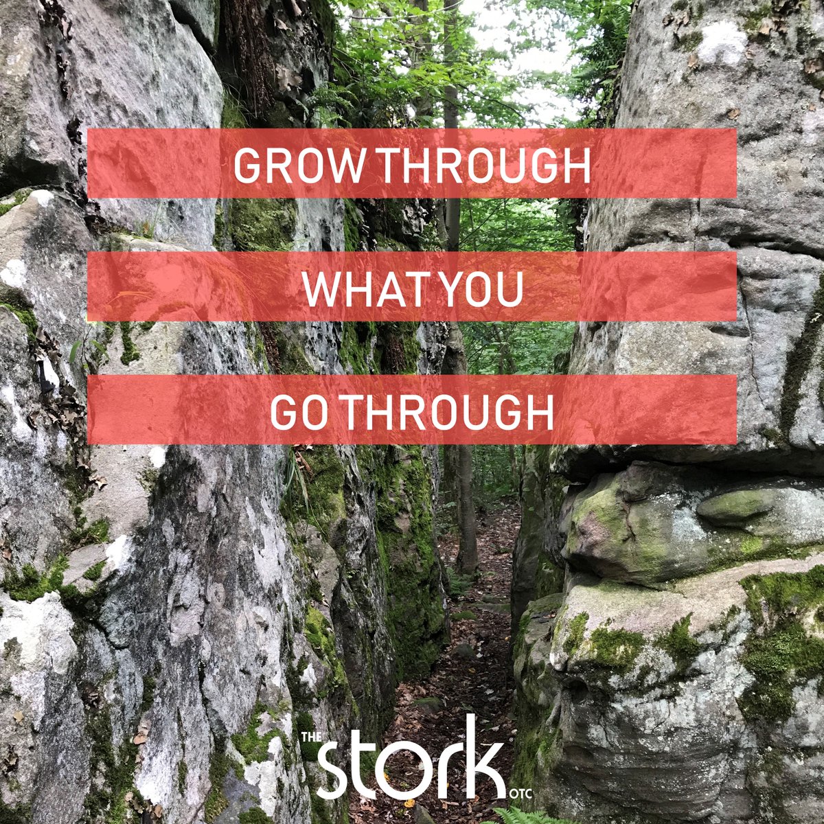 Happy Sunday everyone!  #sundayfunday #personalgrowth