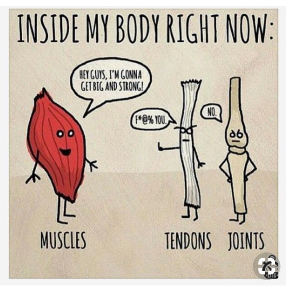 JaraSoost's tweet image. Not all tissues are the same, but they all have to work together. This is why programming is so important! I have partnered with #Fusionetics to make sure your programming meets your goals. #FitBodyShop #Fuel #Mechanics #Sport bit.ly/1yv8G2p...