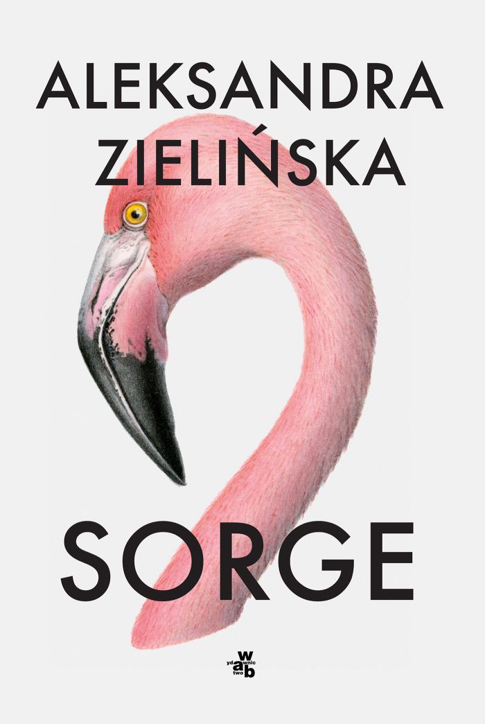 Redakcja artPapieru (@artpapier) on Twitter photo A jeśli macie dosyć poezji, to sięgnijcie do recenzji powieści Aleksandry Zielińskiej "Sorge" (Kamila Czaja):
artpapier.com/index.php?page…
<a href="/wydawnictwo_wab/">Wydawnictwo W.A.B.</a> #WAB #Sorge #AleksandraZielinska #artPapier A jeśli macie dosyć poezji, to sięgnijcie do recenzji powieści Aleksandry Zielińskiej "Sorge" (Kamila Czaja):
artpapier.com/index.php?page…
<a href="/wydawnictwo_wab/">Wydawnictwo W.A.B.</a> #WAB #Sorge #AleksandraZielinska #artPapier