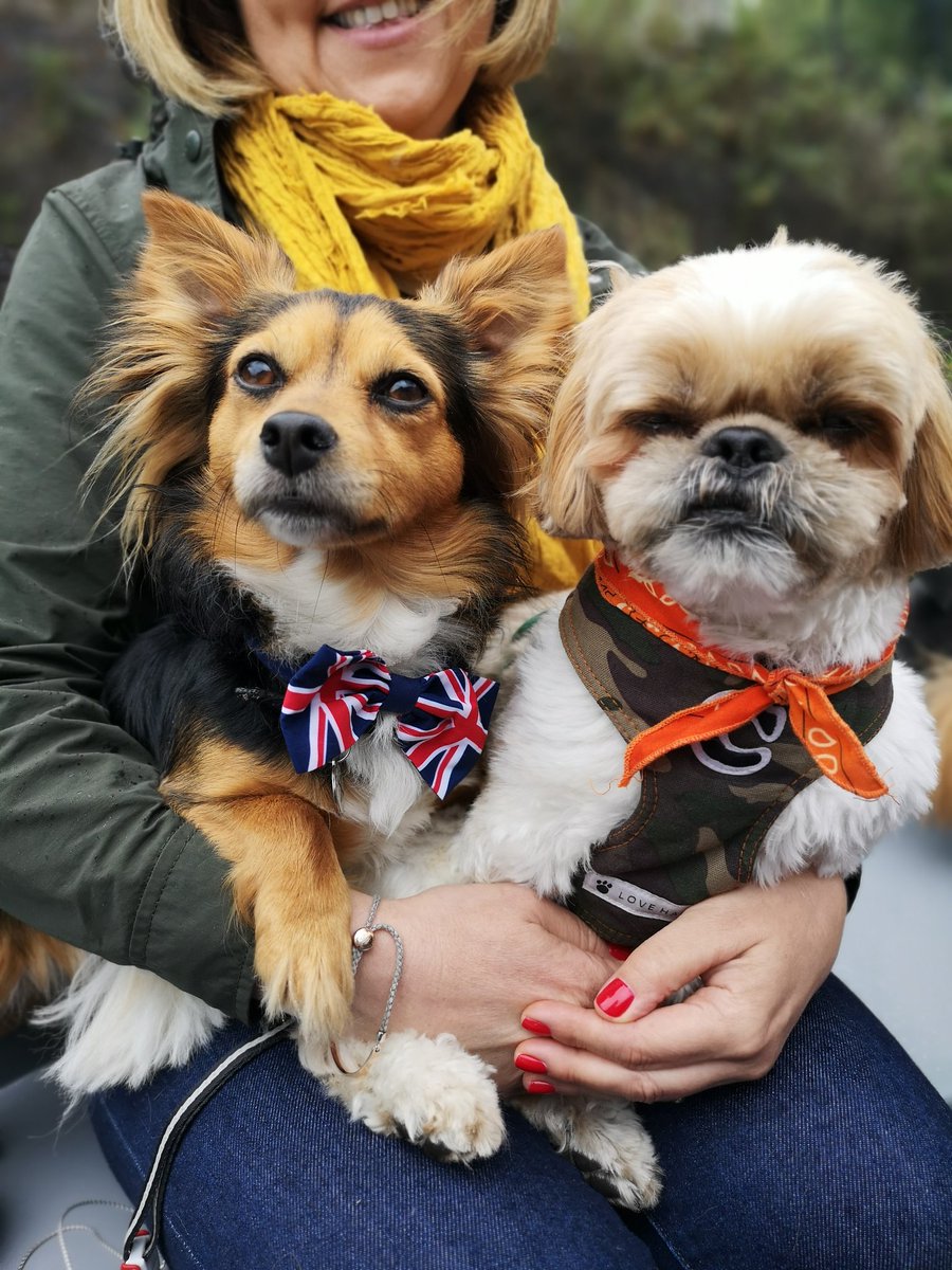 DogFuriendly's tweet image. Our next #dogfriendlyhour shoutout goes to @Goboatldn 😍! This is the pawfect way to while away a few hours in London with a picnic and pooch by your side. 🐶 The biat took us along Regent's canal and we got to stear the boat ourselves. 🛥️ A 5 paw rating from Chewie and Charlie!