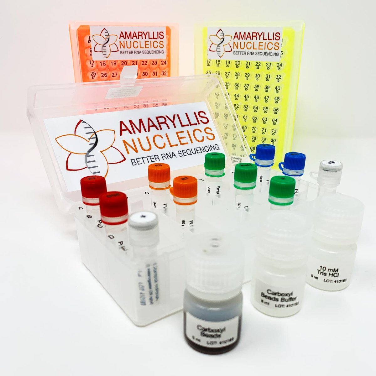 AmaryllisNuc's tweet image. Avoid mis-assigned reads caused by Illumina index hopping with the new Unique Dual-Indexing option for our RNA-seq kits. Or, multiplex over 9,000 samples at once! #RNAseq amaryllisnucleics.com/kits/duet-rnas…