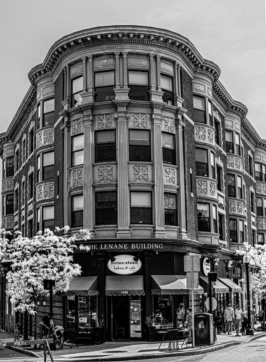 Matt Frank tweet media