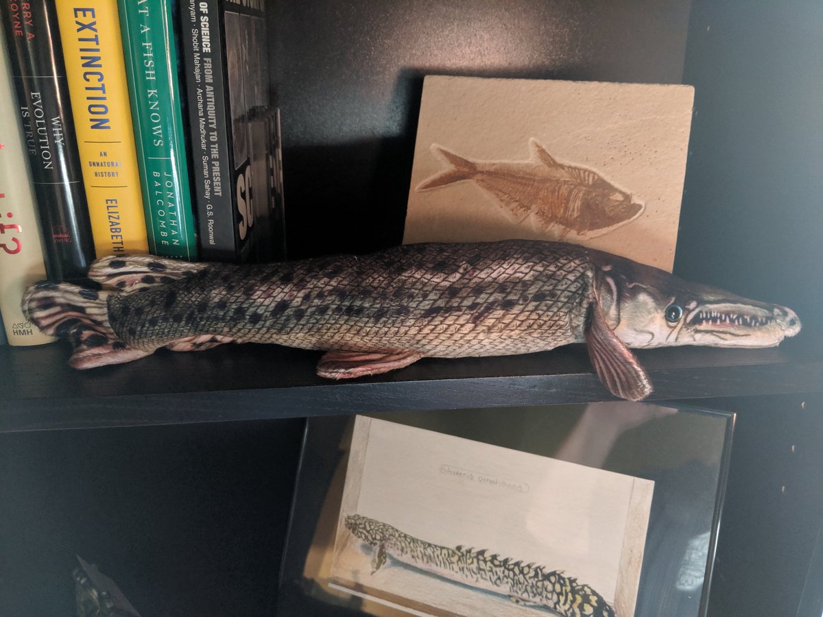 alligator gar stuffed animal