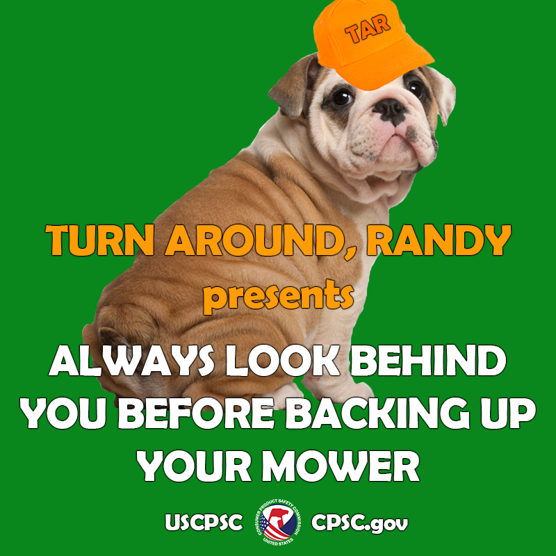 a dog named turn around randy. the text reads: always look behind you before backing up your mower.