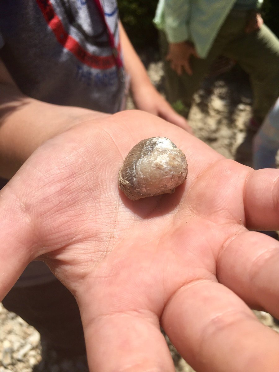 OBrienMegin's tweet photo. @DiscoverAtEP Geology Rocks Travel Camp Day 2 @PIoneerBluffs https://t.co/vved9kVOQ7