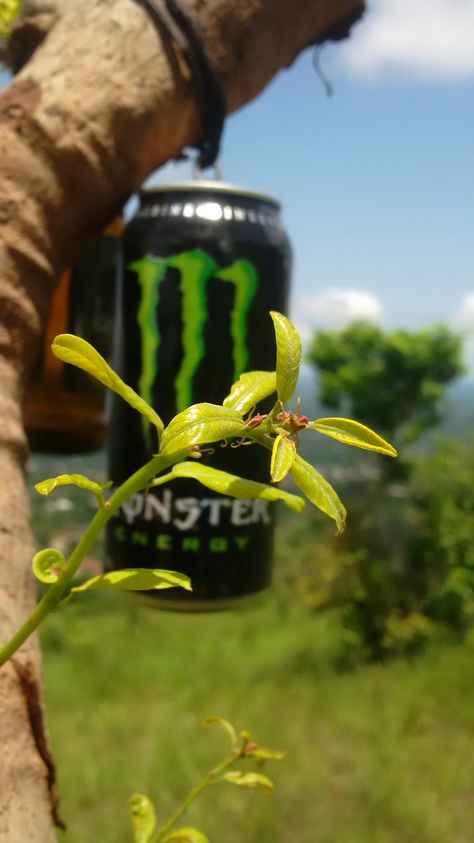 DeRealFortune's tweet photo. Shot at Awgu Hills Enugu Nigeria. Campus Hike May 2019.
Photo Credit: OriginalFortune
#MonsterSelfie
#ViewTheWorld 
@MonsterEnergy @monstercover17 https://t.co/nYwfS6zvGH