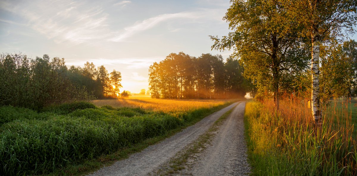 Janulm83's tweet photo. Wünsche Euch ein wunderschönen #Abend 🌄🙂
#Osterberg #Abendstimmung #NaturePhotography https://t.co/oB65n10Ipr