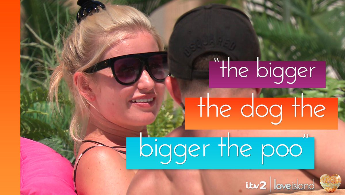 LoveIsland's tweet photo. Amy and Curtis back at it with the A+ flirting! 💩 #LoveIsland https://t.co/bJn3uhuyfS