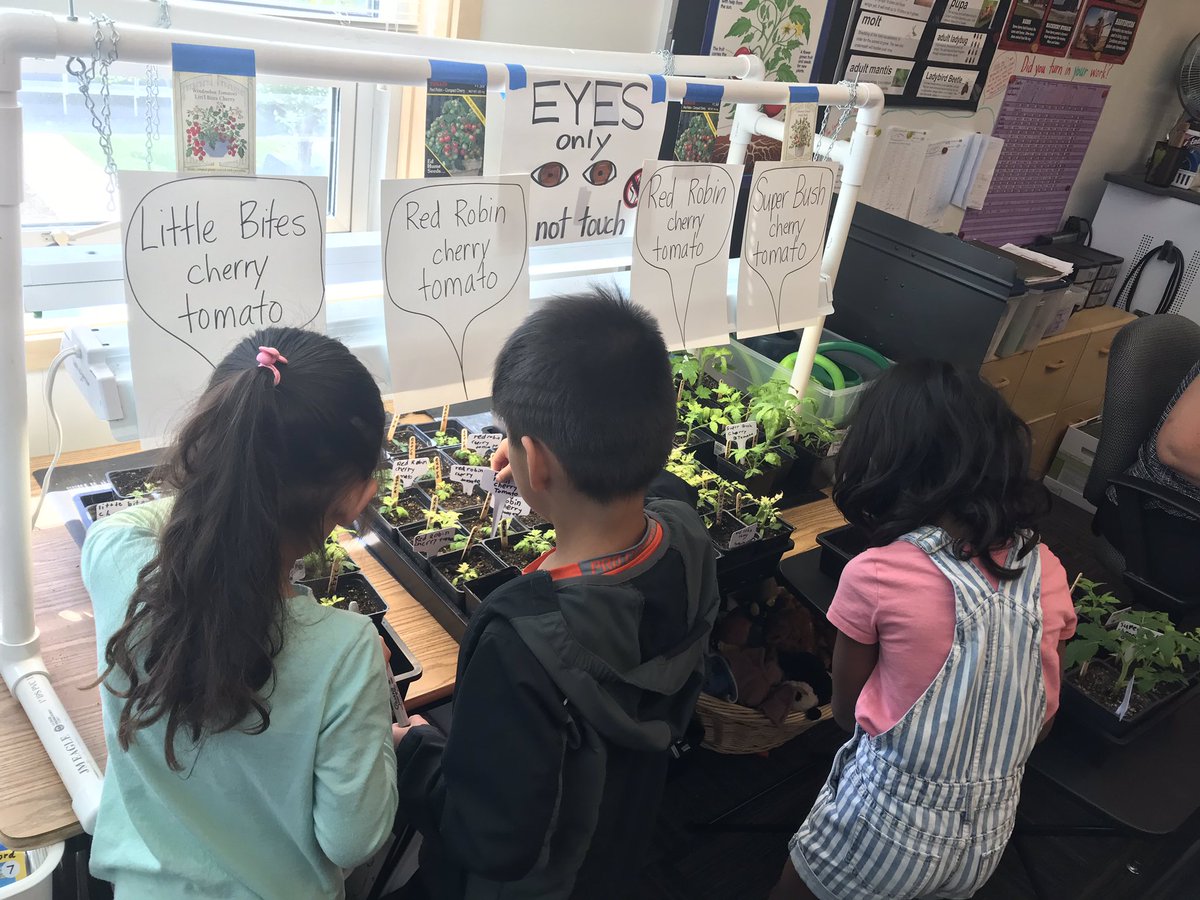 ScottWhitbeck2's tweet photo. Forest Park educators create a rich learning environment for their students! 1-on-1 support, experiential science projects, leveled independent readers, &amp; multiple strategies for solving math problems @PPSConnect https://t.co/glsQGVJzLw