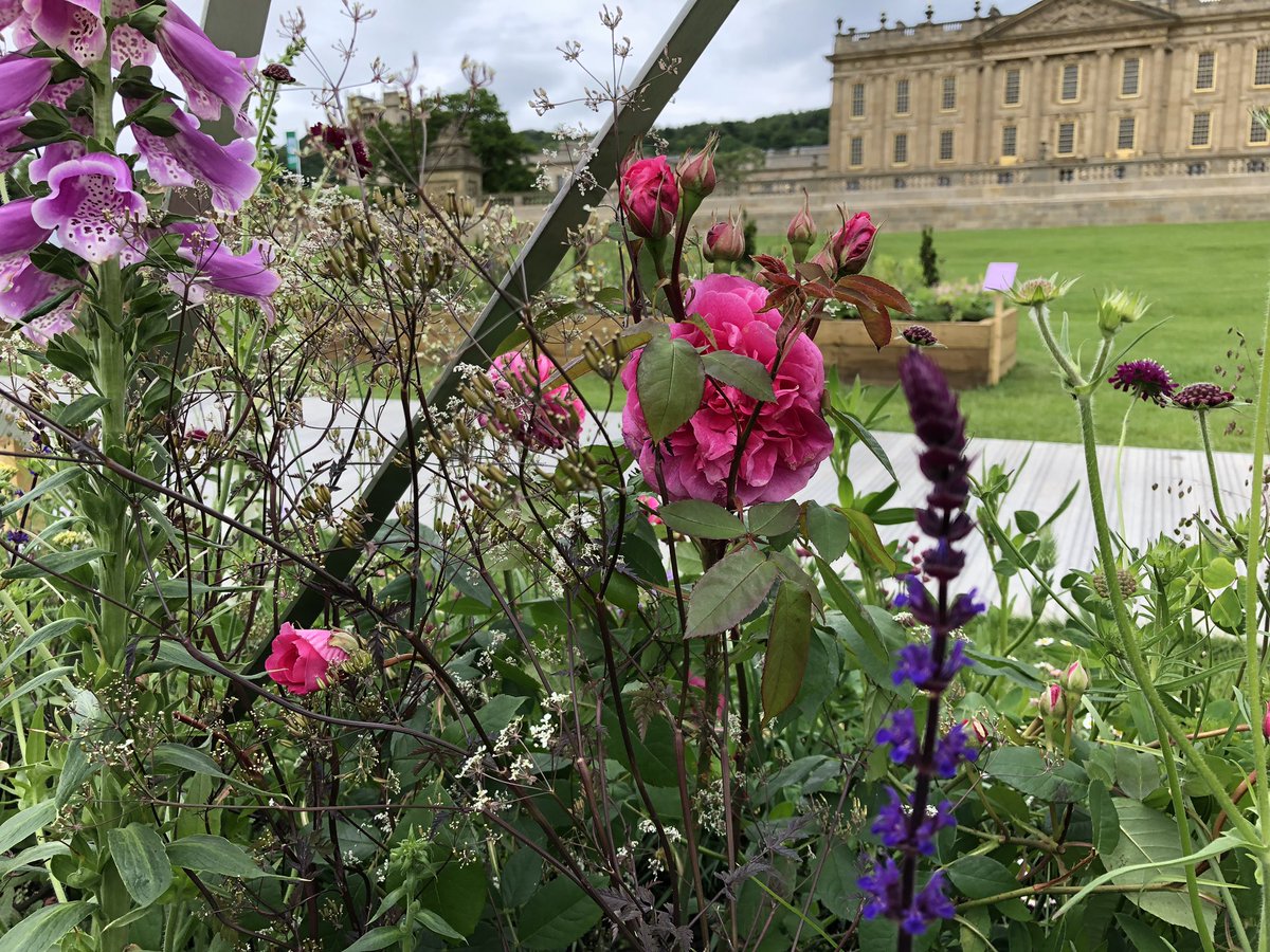 rbailey3's tweet photo. Finished our #longborder #RHSChatsworthflowershow. Fantastic team effort - thank you everyone involved on and off site @Binnyplants @macplants @fluxworx @Trellis_Network @RestartProject1 #thehealingpowerofscent #therapeuticgardening #mentalhealthawareness https://t.co/UtlElliTBS
