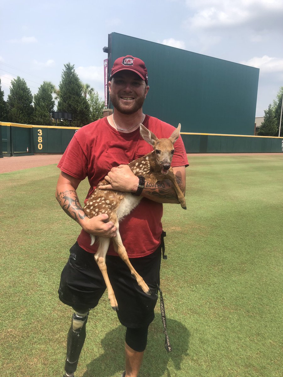 Justin Scurry tweet media