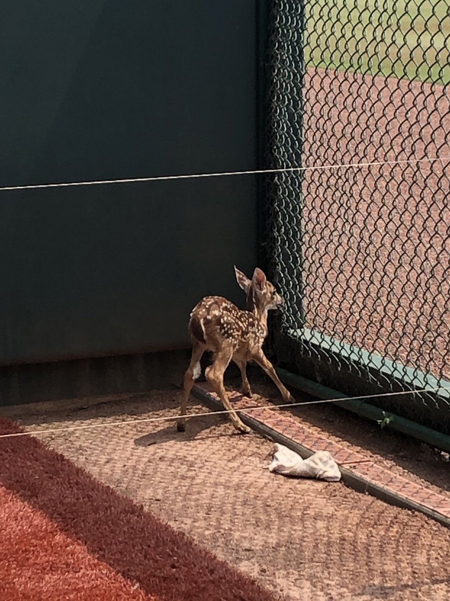 Justin Scurry tweet media