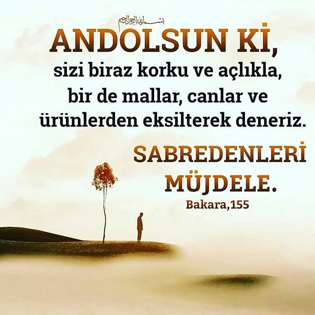 Jinsiy olatning katta va jozibali fotosuratlari Eshagida mast qizlarni sikish