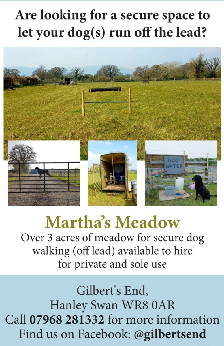 Aloelisa1's tweet photo. @TDVirtualOffice @uptonhour Will do! Thank you for all the tweets and likes from today's advert Martha's Meadow @uptonhour things are crazy atm! #UptonHour #MalvernHillsHour https://t.co/CUXPZn0CFq