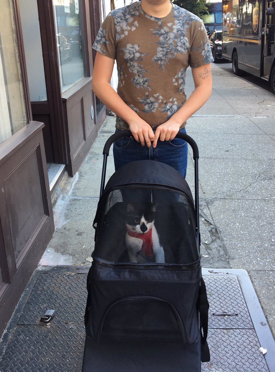 owenbabey's tweet photo. my dades tooke me oute in my new “”stroller”. to knowe thate there ise a whole worlde of thingse i have note smelld is truely overwhealming. much to thinke aboute https://t.co/hwrwVCrlLP