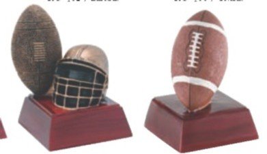 MyTrophyStore's tweet photo. Today in 1974 NFL grants franchise to Seattle Seahawks.
#football https://t.co/UcDwzI2viU