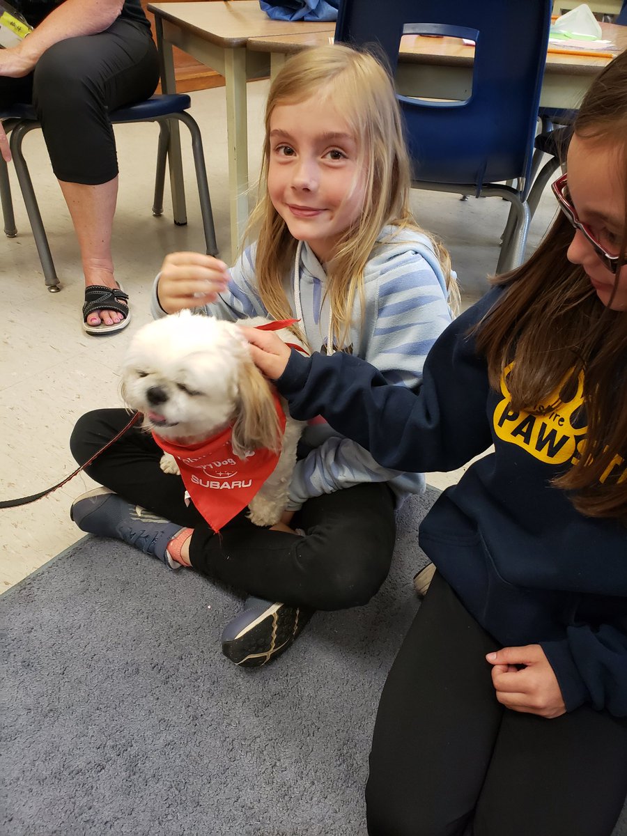 Msmauricesclass's tweet photo. A visit from Mollie the therapy dog today to support our science unit on animals @TecumsehHDSB #tecrocks https://t.co/d24lwfcbY8