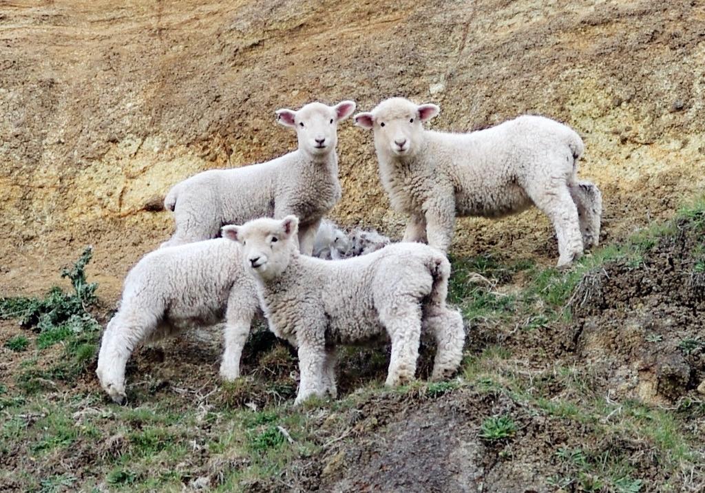 Quidnet Ventures LLC tweet media