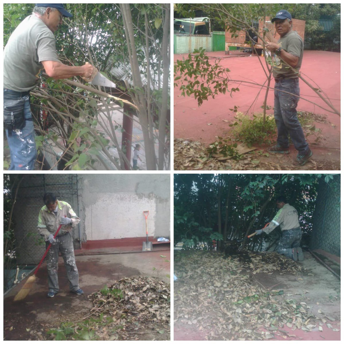 En el Jardín de Niños "Navidad" en #Cuajimalpa se realizó la limpieza de azotea y poda de ramas de los árboles. <a href="/DGODU1/">D.G.O.D.U Cuajimalpa</a>