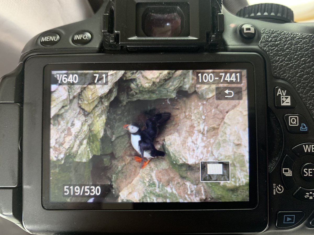 WYP_PCChrisCook's tweet photo. @lindadababe @RSSS_Assessment It sure is @lindadababe The males were a little thin on the ground and the females were positively elusive! https://t.co/Nxt5XYfAPp