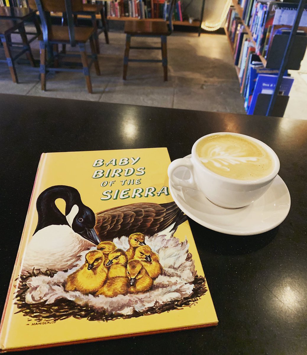 Today’s suggested pairing is Baby Birds of the Sierra by Joe Maniscalco and a maple cardamom latte by Roseline Coffee. 🐦🐣#wouldyoulikesomethingtoreadwiththat? #thestackscoffeehouse #babybirdsofthesierra #joemaniscalco #maplecardamomlatte #latte #roselinecoffee #pdxcoffee