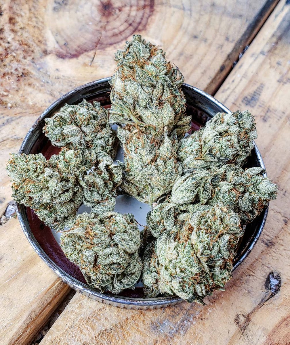 weedydotcom tweet media