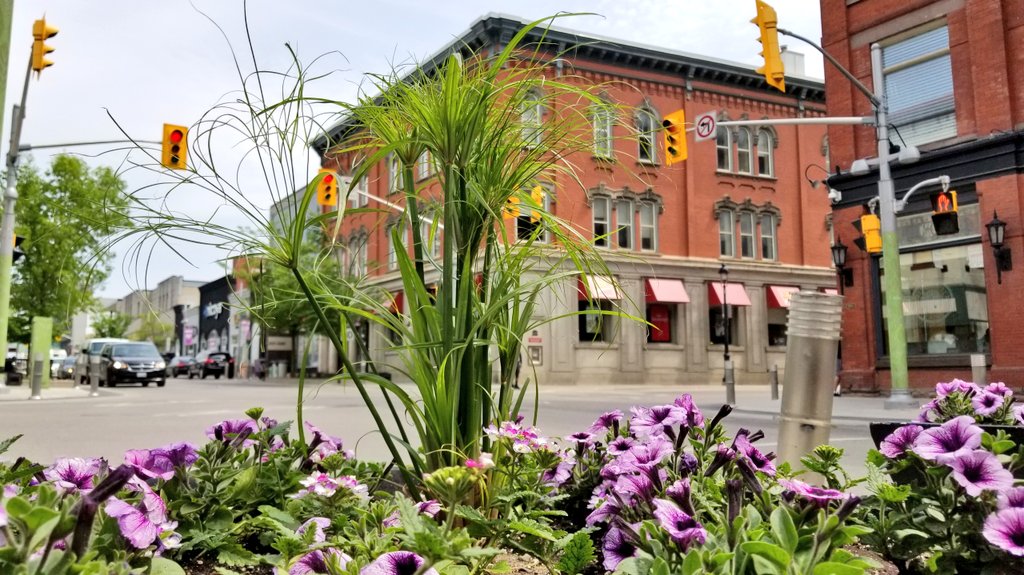 A wonderful day in <a href="/DTKitchener/">Downtown Kitchener</a> #KWAwesome #MakeitKitchener <a href="/ExploreWR/">Explore Waterloo Region</a>