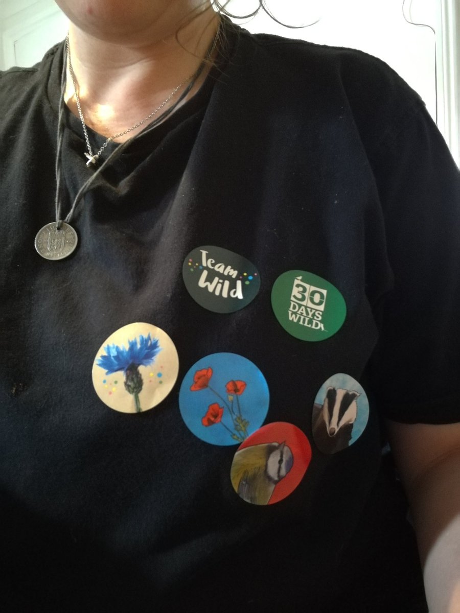 OryxCrake's tweet photo. Day 4 of #30DaysWild included a slightly wet walk to our local library, spotting wildflowers on the way (sadly no pics due to dead phone!) then had the very important task of organising our stickers from our #30dayswild pack. https://t.co/wBnQrjvYbK