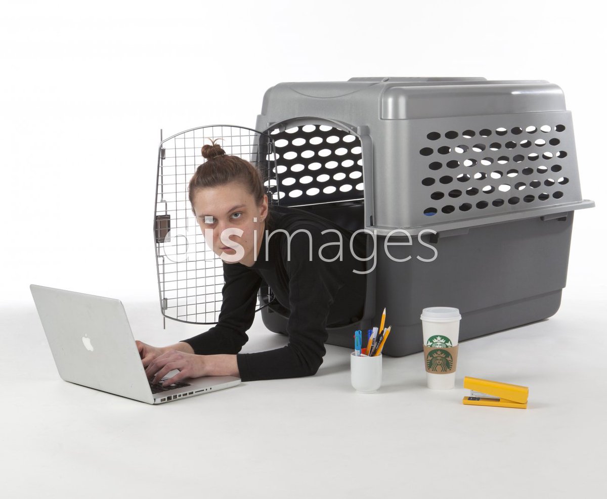 A young intern types on a macbook from inside a doggy cage, nearby stapler, starbucks coffee, and pens