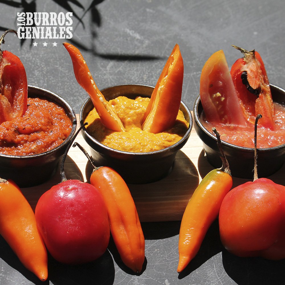 BurrosGeniales's tweet photo. Te invitamos a degustar lo mejor de la comida #TexMex en la terraza del C.C #SanIgnacio . Acércate a #LosBurrosGeniales y descubre como #México y #Venezuela se fusionan para consentir a tu paladar. #4Jun https://t.co/6bLZvS975n