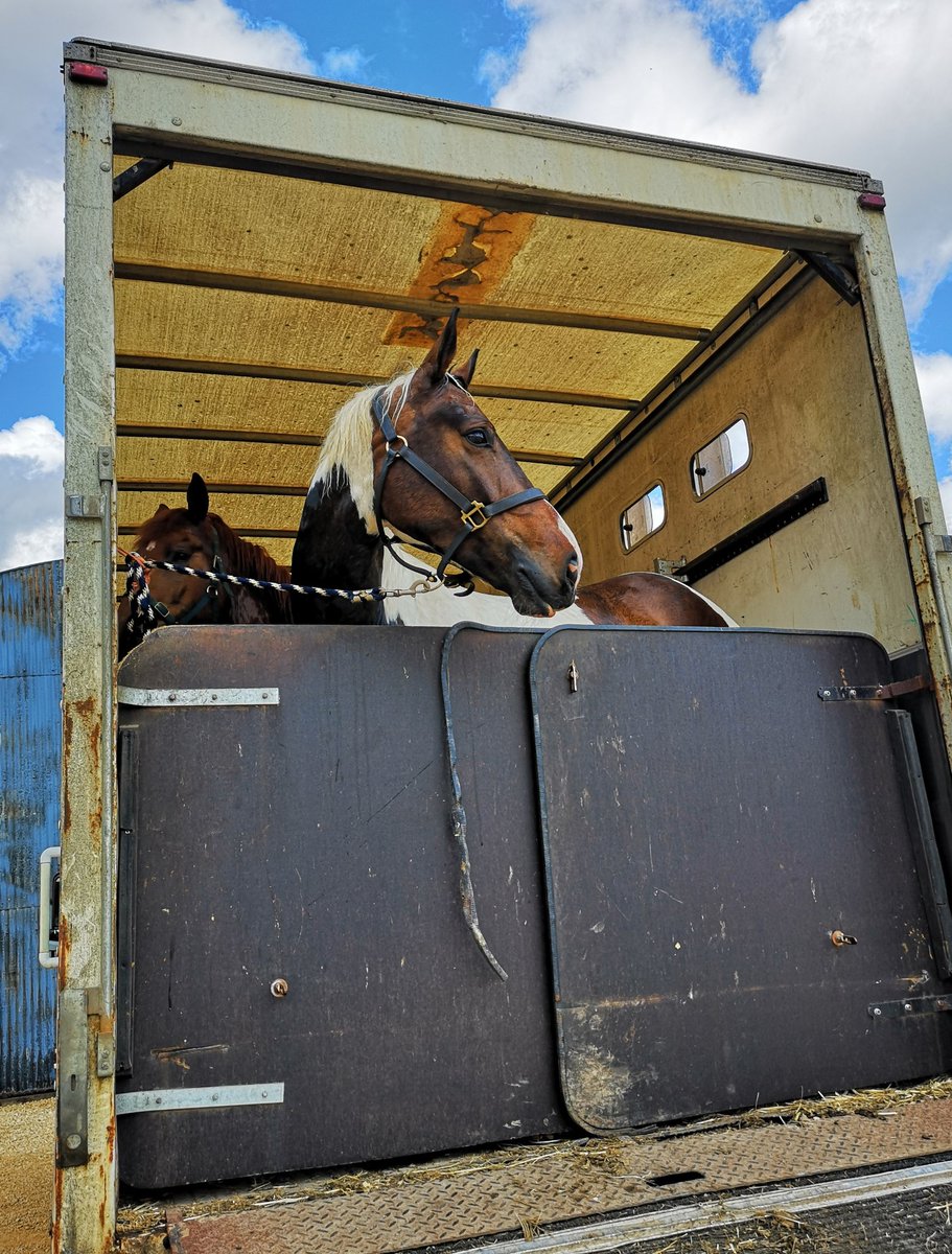 Rebecca Neale tweet media