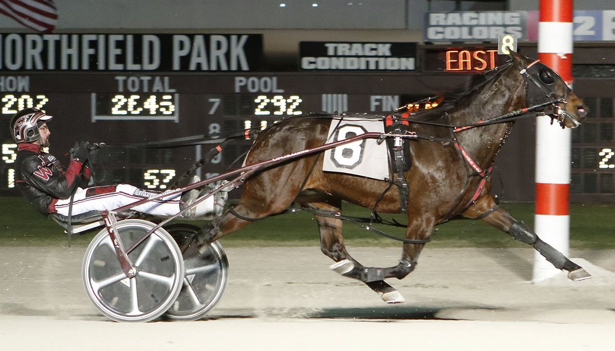 USTrotting's tweet photo. Referred to as an “ATM” the ever consistent #SouthwindAmazon vies for the title in the Battle of Lake Erie @NfldPark on Saturday. Read his story by @DArcyEganPD in #HoofBeats #HarnessRacing #ReadHB #AHoofAbove https://t.co/5GrBErY5vc

Photos by: Jeff Zamaiko and D'Arcy Egan https://t.co/F5xHb8VTFg