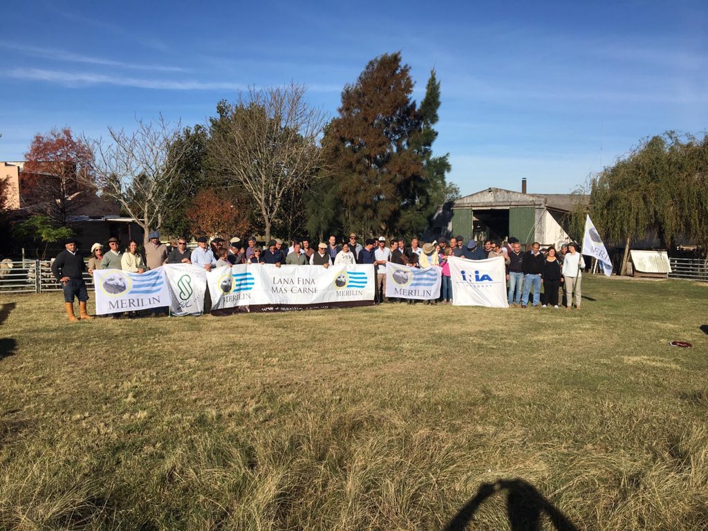 merilinuy's tweet photo. Un precioso día de Otoño nos acompañó en la segunda jornada de la Gira MERILIN.
Así nos recibieron en Los Cerritos
#merilin
#razanacionaluruguaya https://t.co/Yv5S83c9Jy