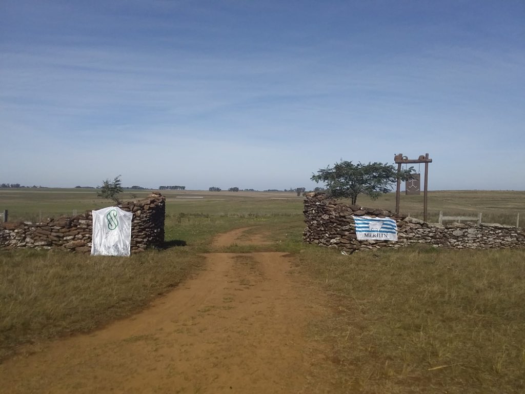 merilinuy's tweet photo. Un precioso día de Otoño nos acompañó en la segunda jornada de la Gira MERILIN.
Así nos recibieron en Los Cerritos
#merilin
#razanacionaluruguaya https://t.co/Yv5S83c9Jy