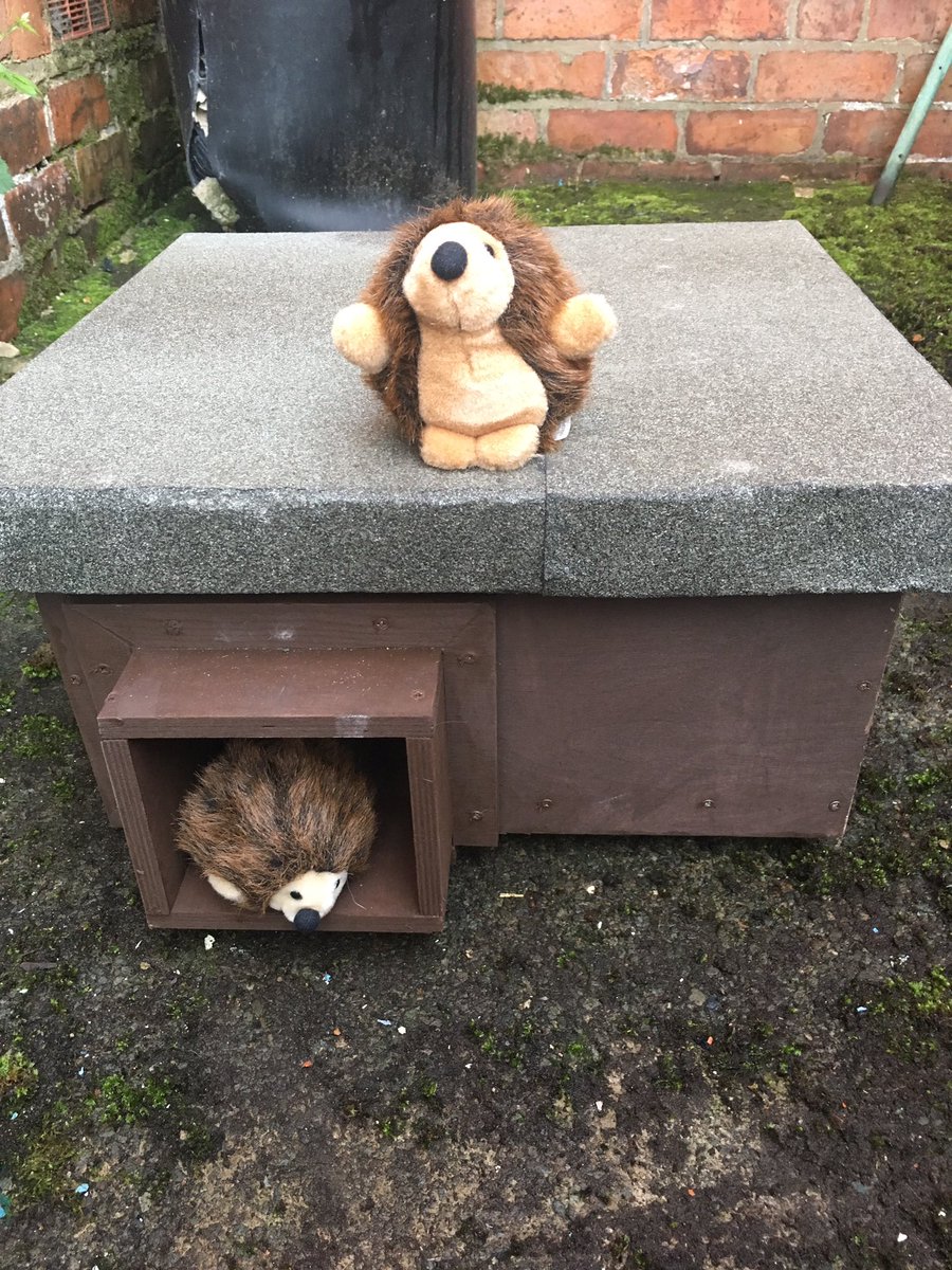 Collected my new #hedgehog box tonight. 

Its handmade and all proceeds go to South Kilworth school 💙
#hedgehogfeedingstations #hedgehognestbox #hedgehogfeedingstation #hedgehogs