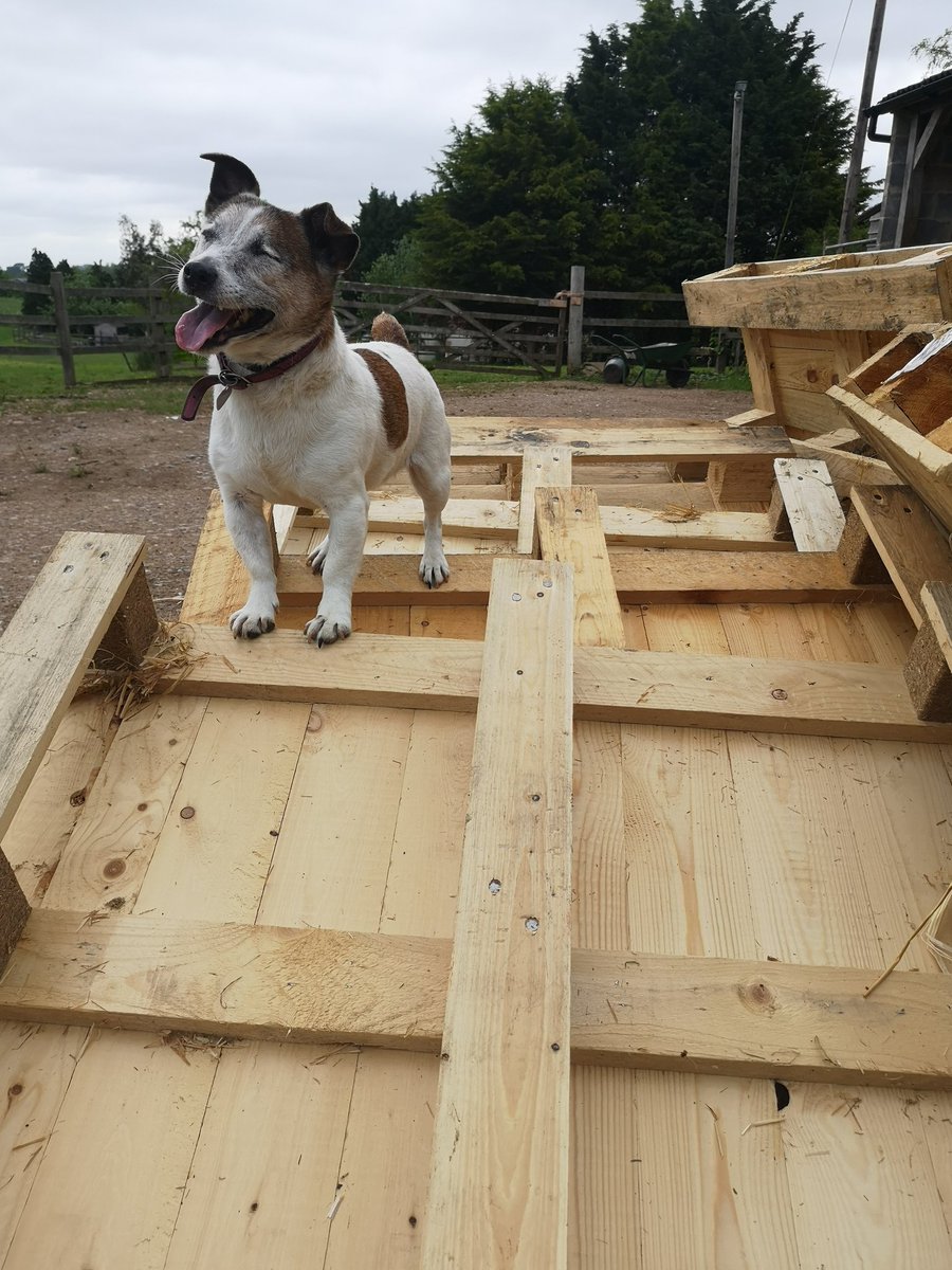 Rebecca Neale tweet media