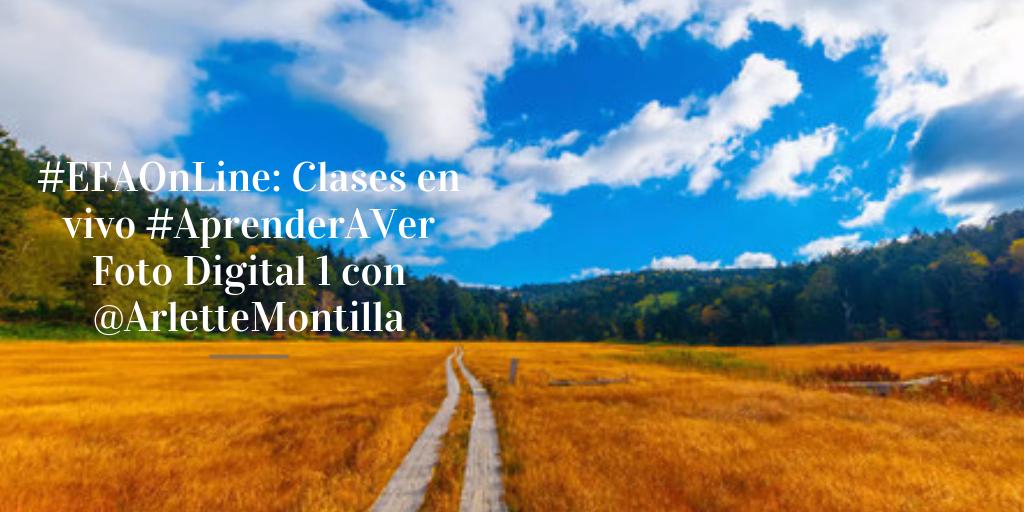 efacontigo's tweet photo. ¿Estás en cualquier otra parte del mundo? ¡No te preocupes! ¡También tenemos opciones! 

🌎 #EFAOnLine: Clases en vivo #AprenderAVer Foto Digital 1 con @arlettemontilla, y los autoadministrados Lightroom, Historia de la Fotografía, Diario Visual y Finanzas para Fotógrafos. ⁣ https://t.co/99fEjiXaDU