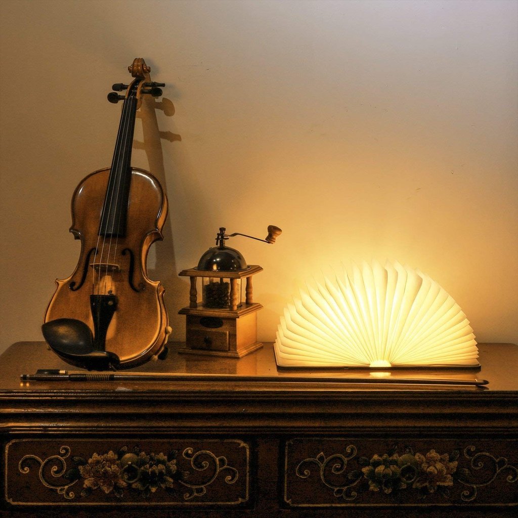 accessoriesvall's tweet photo. https://t.co/itdDKjXTZn

Wooden Folding LED Book USB Rechargeable Light for Desk/Table/Wall/Decor📔

Shipping to: United States, Canada, EU Countries, United Kingdom, Australia &amp; New Zealand

#decor #wooden #folding #book #decoration https://t.co/raIGmjTag5