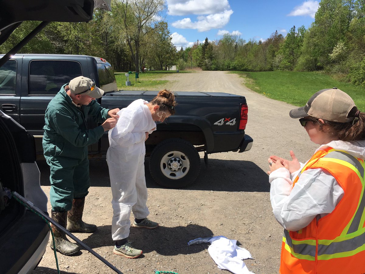munn_douglas's tweet image. sweet success collecting #blackleggedticks at #Ganong #Nature #Park today with our friends from #NB Department of Health and Provincial Veterinary Lab. New tech was able to see each life stage at our first site. Remember to check yourself for #ticks!