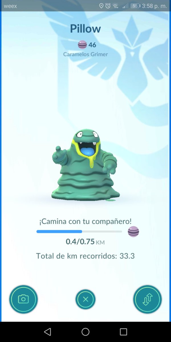AlexVilVa's tweet image. Así por fin podré evolucionar a este #alolangrimer de 100ivs