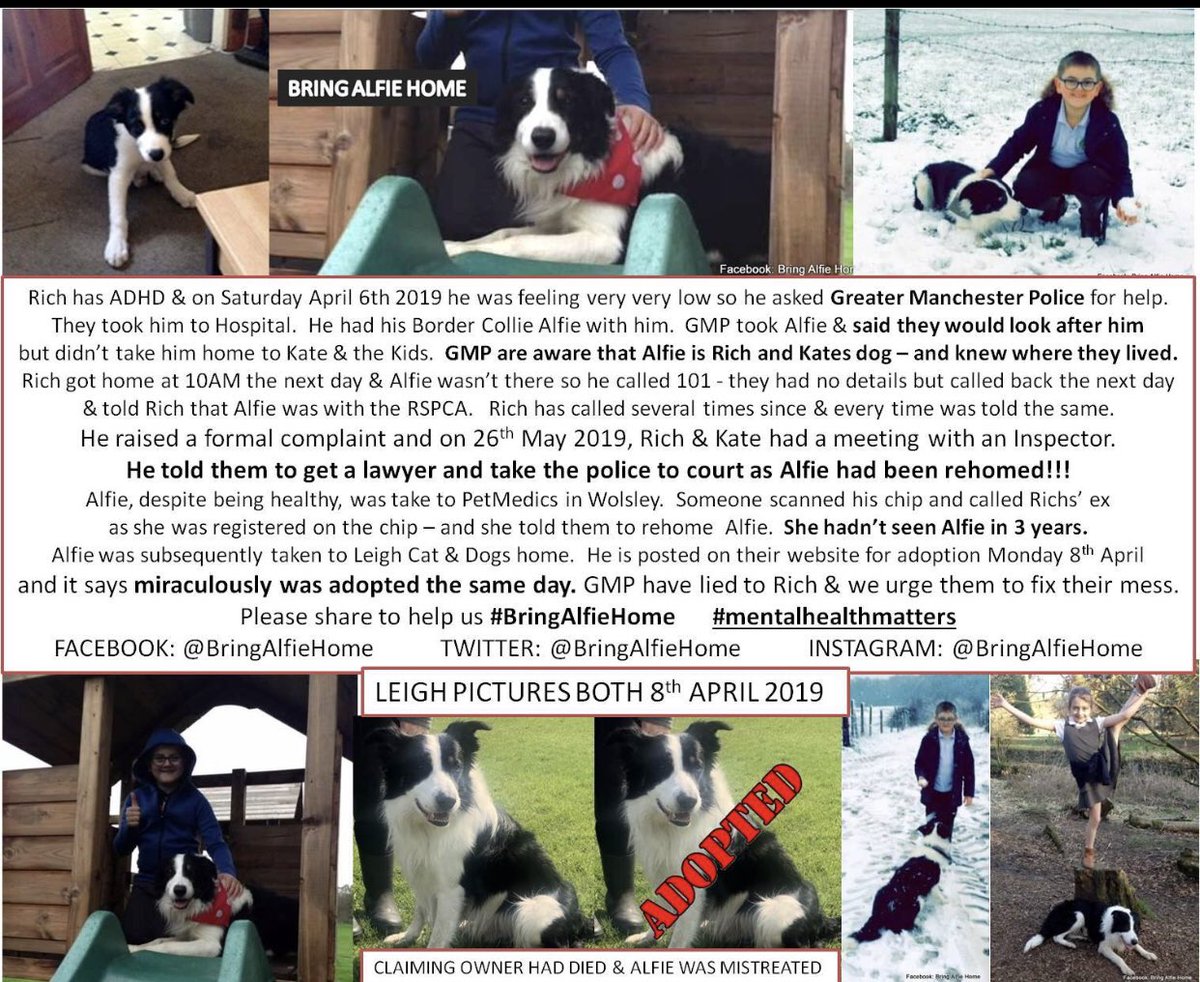 ruthwill64's tweet photo. @NevilleSouthall This is a summary of missing Alfie @BringAlfieHome @BrendaBlethyn @ToniaAntoniazzi @AndyBurnhamGM @PeterEgan6 @MPeakeOfficial this is the full story. #mentalhealthmatters please retweet/join the fb group. Rich needs Alfie home https://t.co/yJcpKlafJ1