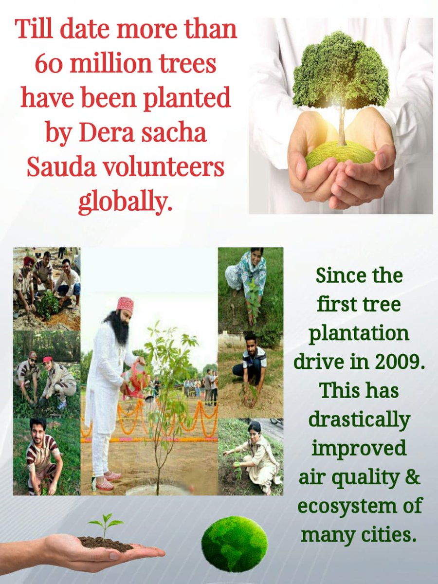 GirlAdolz's tweet photo. #WorldEnvironmentDay
#BeatAirPollution Under Mega Tree plantation drives by St.@Gurmeetramrahim ji , millions of trees have been planted globally over the year https://t.co/c0XegAEQrK