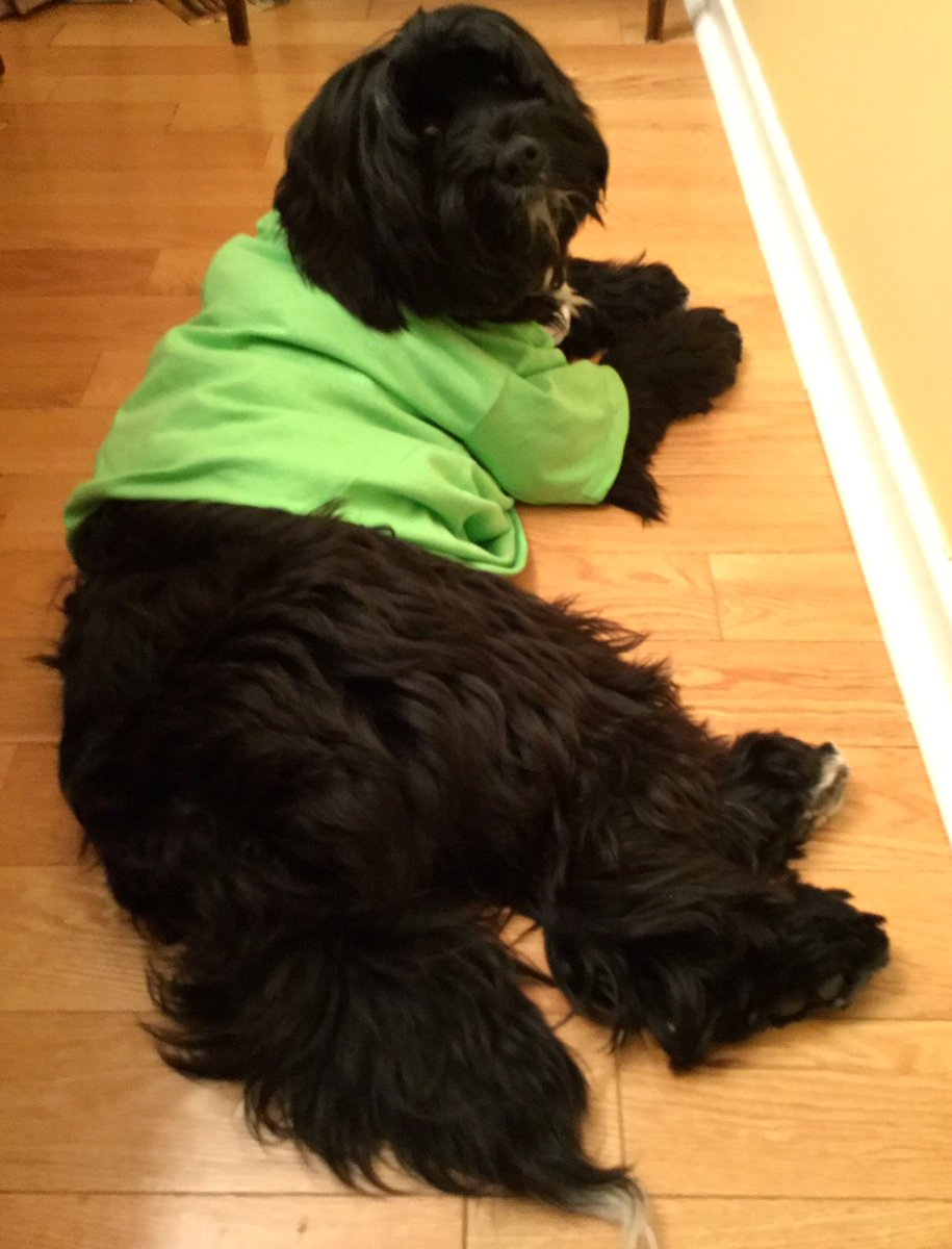 BarbAnderson4's tweet photo. Here’s @ArmourBeth w/ Archie, a Tibetan terrier, resting up for the @CFDRTO fun run at #DCconf19 in @ottawacity , in support of funding practice-based Dietetic Research. You can sponsor Archie, who is the top fundraiser at over $3500.00 at: https://t.co/UFEW7el5ni https://t.co/436F6ZtXT7