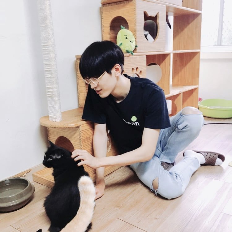 22. just more of wonwoo with kittens because he really is a cat rights activist and we love that