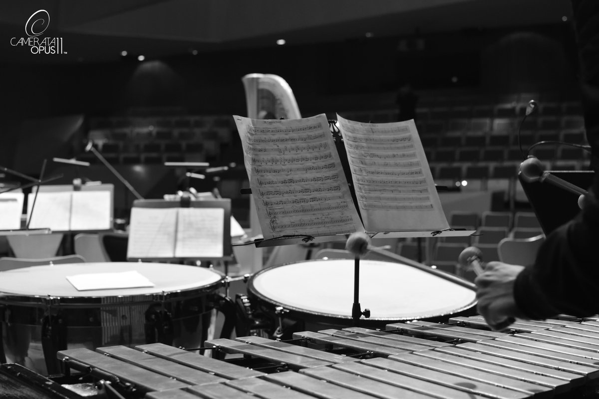 Camerata Opus 11™ tweet media