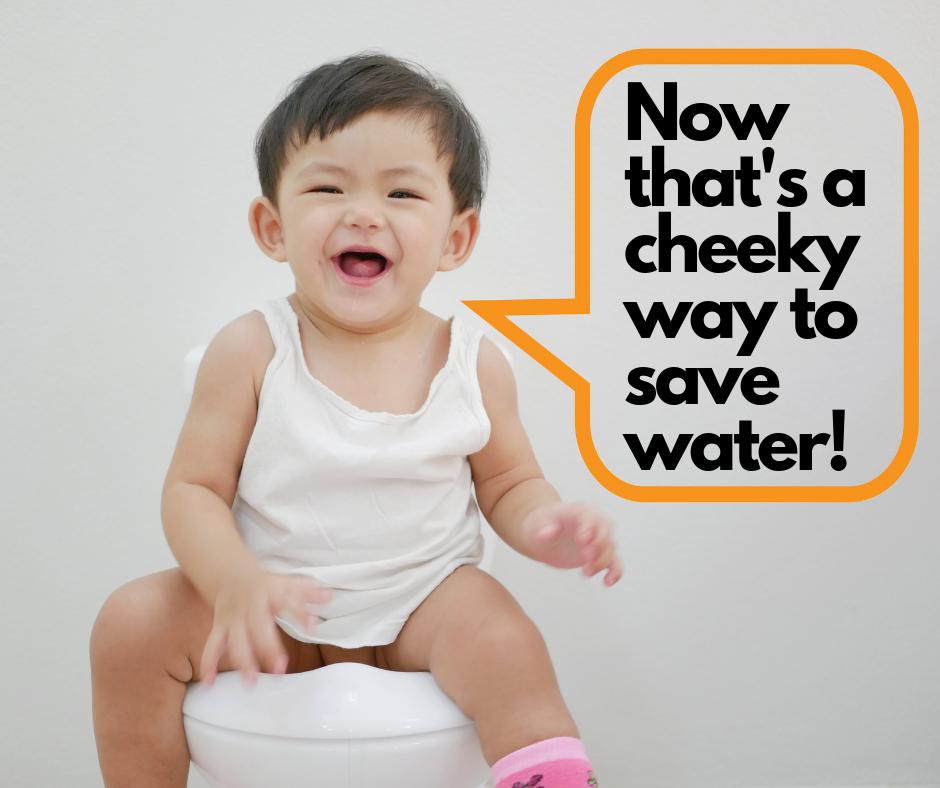 It’s #ToiletTalk time… Using the half flush in the toilet can save about 10L of water every day. It’s the little things that make all the difference in saving water! 🚽🚿🛁 #WaterwiseWednesday #SaveWater #WaterFacts