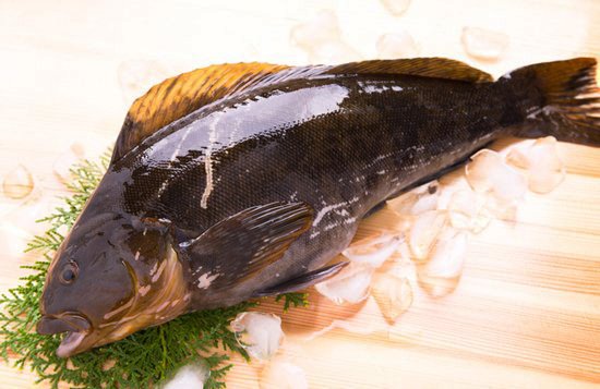 暦生活 こよみせいかつ בטוויטר 旬の魚 あいなめ 夏に旬を迎えるあいなめ 白身でクセのない上品な味わいで お造りや煮付けなど どんな食べ方をしてもとても美味しくいただけます サイト暦生活 T Co Opnu64fisu 暦生活 あいなめ 魚 食べ物