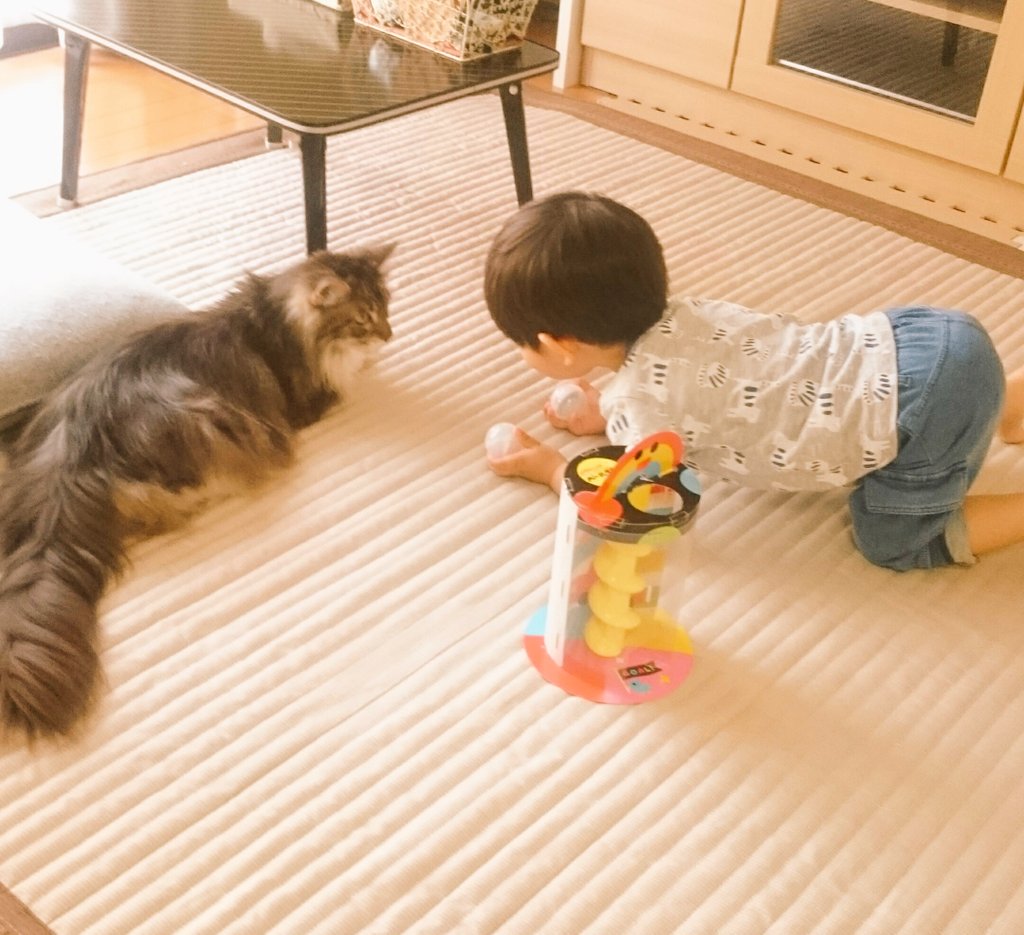 vncnttnk's tweet photo. 舎弟が遊びに誘ってくる…。 https://t.co/E6Qfmimx6a